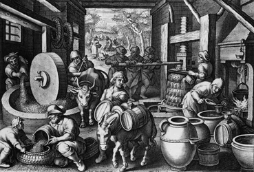 Oleum Olivarum, plaat 12 uit 